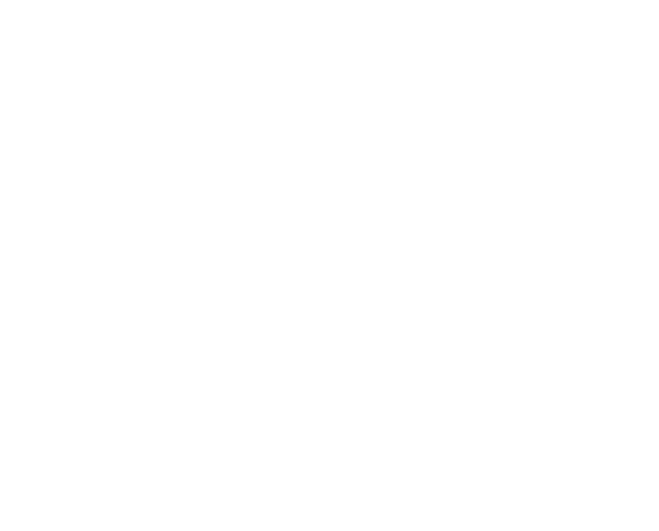 Rainforest Logo