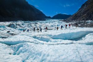 Fox Glacier